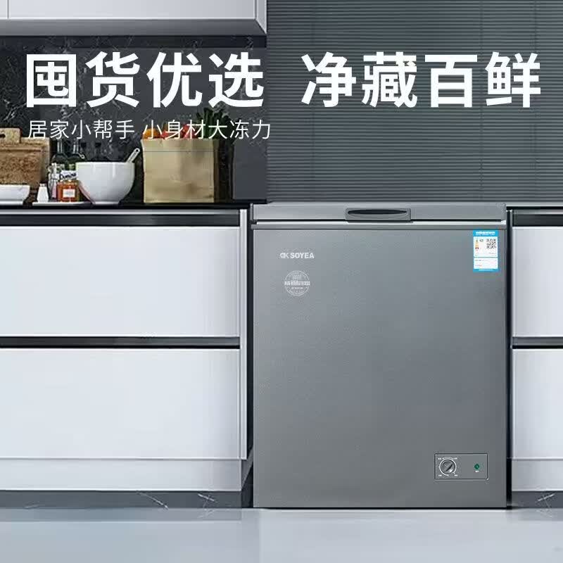 索伊（OK）家用大容量冷柜BG-168C/D 冰箱冰柜小冰柜冷冻冷藏索伊冷柜精制铜管食品级内胆一级能效冷柜 168升冷柜 168L