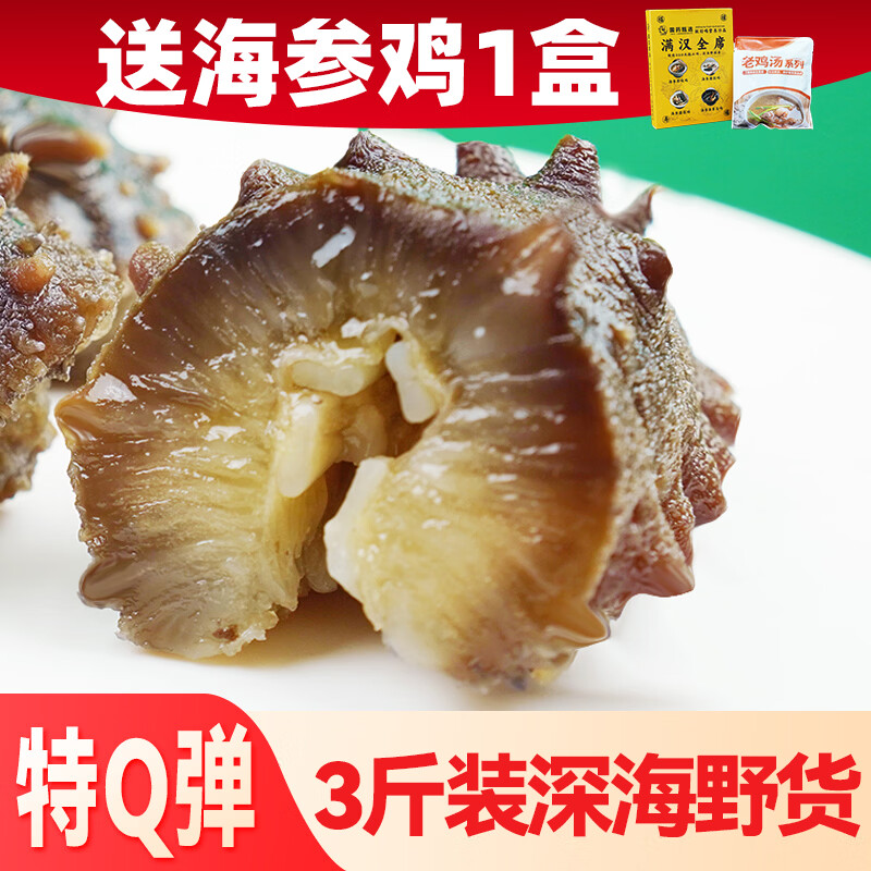 亿鲜笙鲜蒸即食海参鲜活加工佛跳墙食材大连辽刺参中老年滋补高营养海参 13-20只/斤【深海捕捞野货特筋道】 3斤装【送海参鸡1盒】