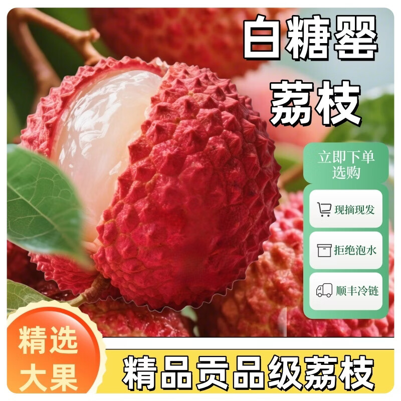 正宗妃子笑 白糖罂 老树精品大果【顺丰/JD冷链】现摘现发礼盒装 白糖罂精品大果净重9斤(单果20g+)