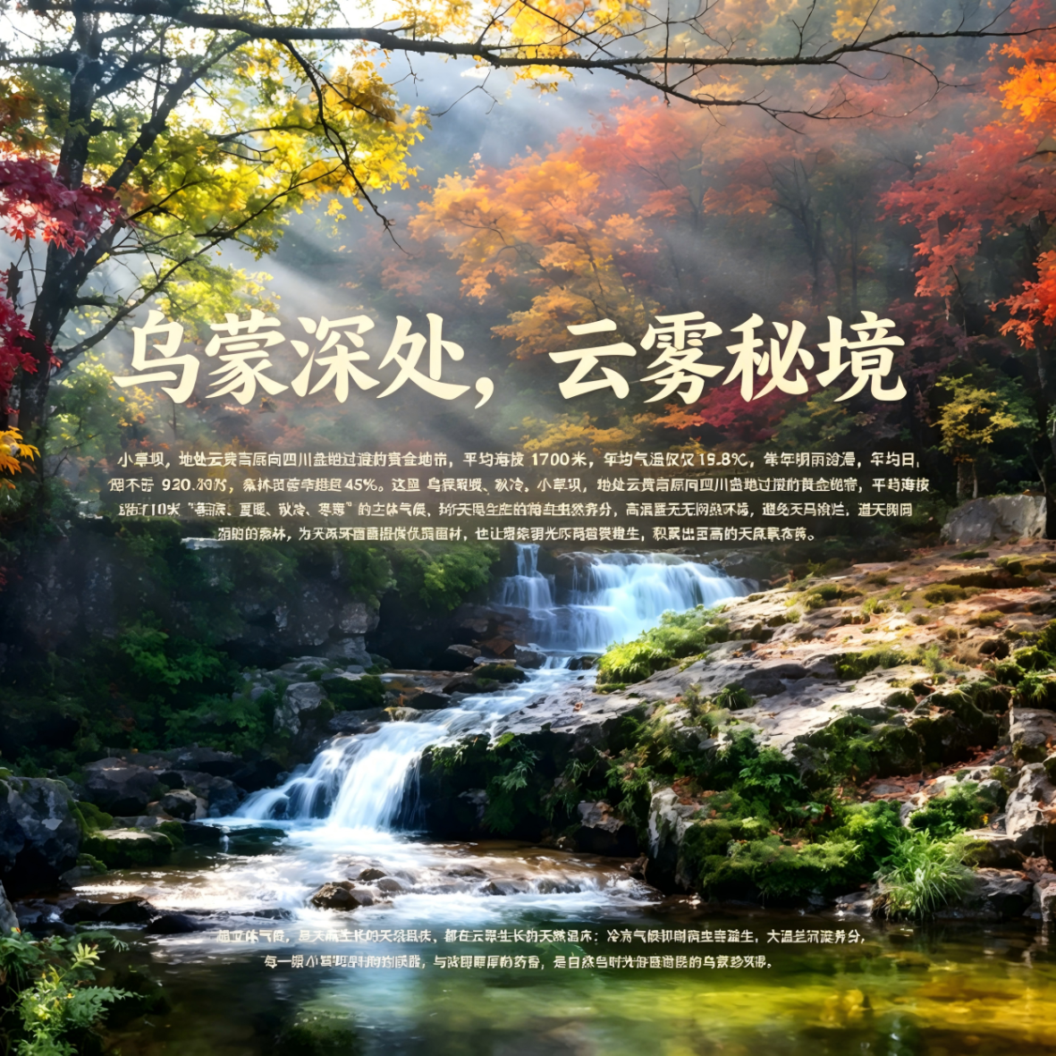 【京东快递】昭通小草坝鲜天麻正宗仿野生原产地安全无公害无农残 睡得好降压2斤大果（3-4个1斤）无公害无农残京东快递 鲜天麻｜云南小草坝原产地直发