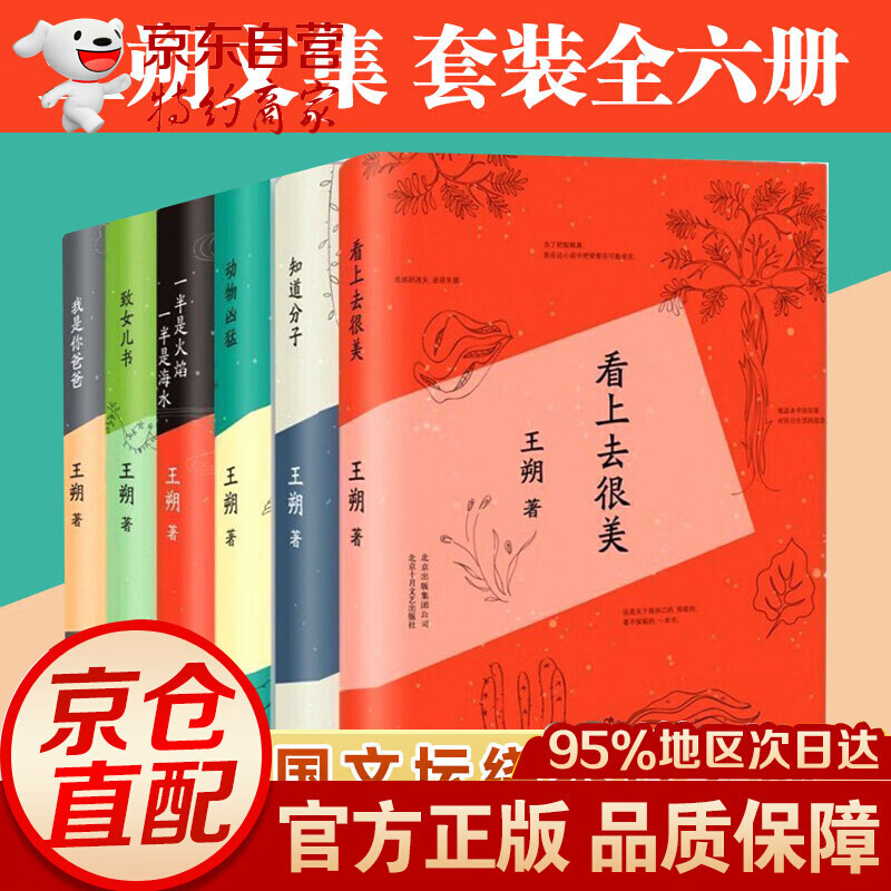王朔全集全套6册 我是你爸爸+动物凶猛+看上去很美+致女儿书+知道分子+一半是火焰 一半是海水