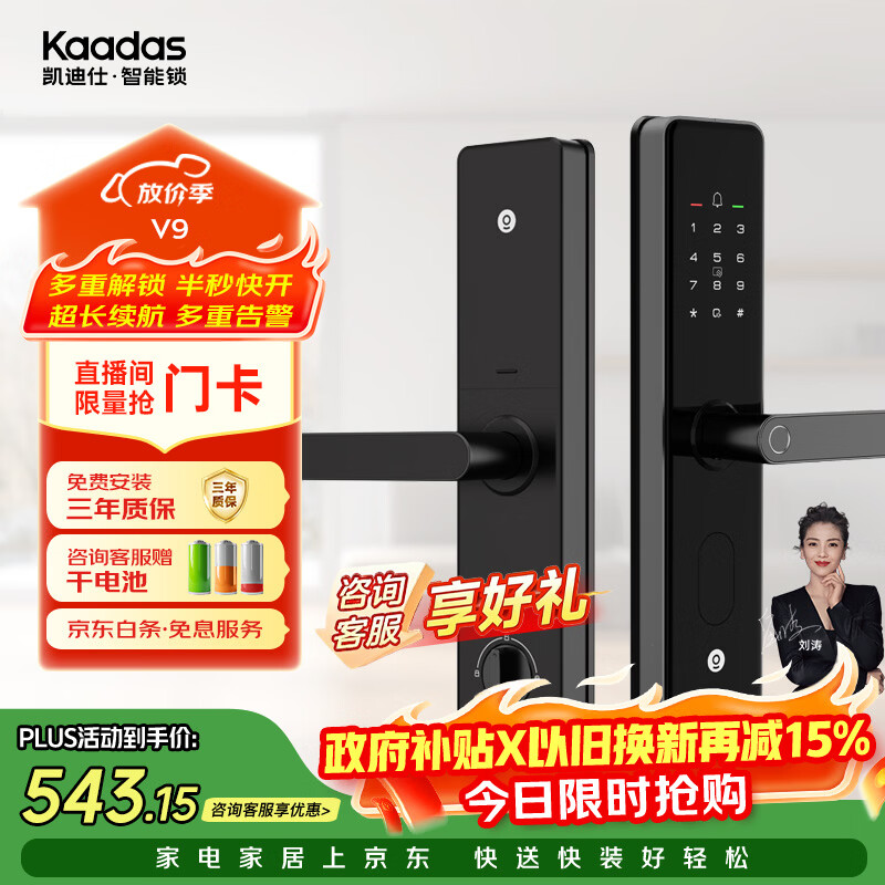凯迪仕（KAADAS）智能门锁 指纹锁 防盗门锁密码锁 入户门电子智能锁 V9