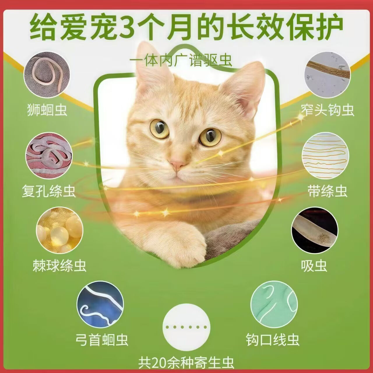 Bepanthen德国进口拜宠清猫咪口服体内驱虫绦虫蛔虫绦虫 八粒拆售[不带盒］ 8粒*1板
