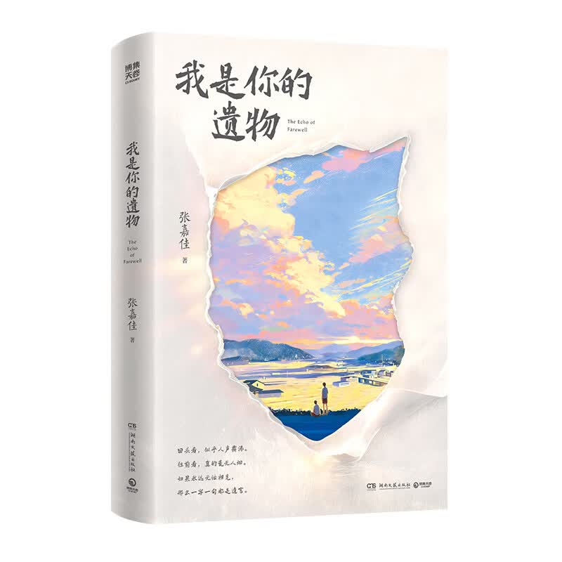 我是你的遗物 张嘉佳2026全新小说