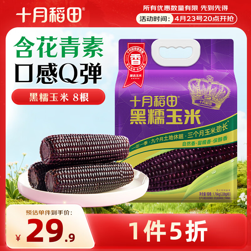 十月稻田 黑糯玉米 3.52斤(220g*8根) 东北玉米 杂粮粗粮 低脂早餐