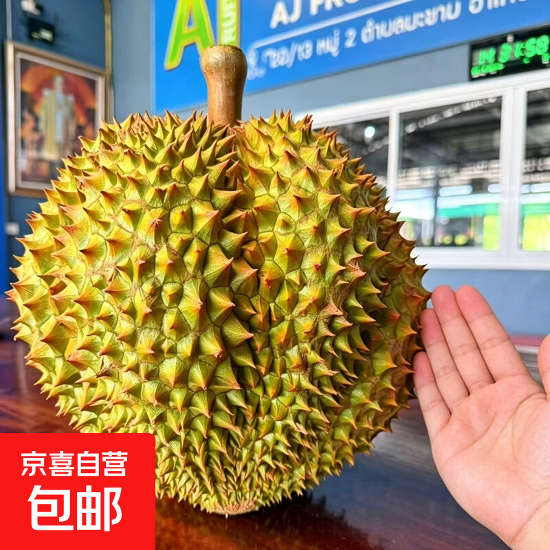 自营唫枕榴莲15斤 249元 - 线报酷
