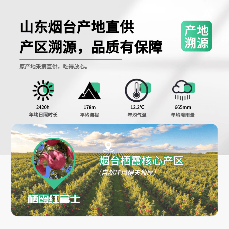 果站长烟台苹果栖霞红富士新鲜水果生鲜山东特产脆甜整箱平果送礼品 净重8.5-9斤 中果【75-80mm】