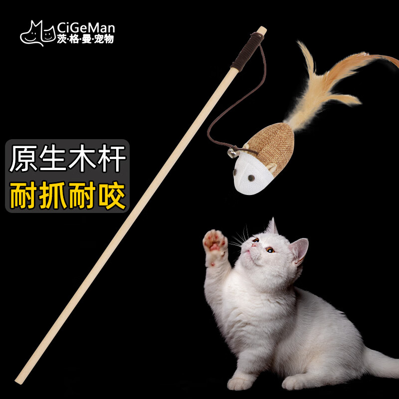 茨格曼 猫玩具 逗猫棒 耐咬猫薄荷球猫猫玩具套装猫咪玩具自嗨小猫幼猫用品