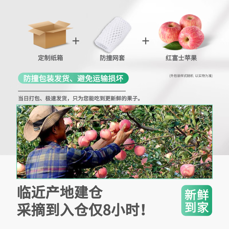 果站长烟台苹果栖霞红富士新鲜水果生鲜山东特产脆甜整箱平果送礼品 净重8.5-9斤 中果【75-80mm】