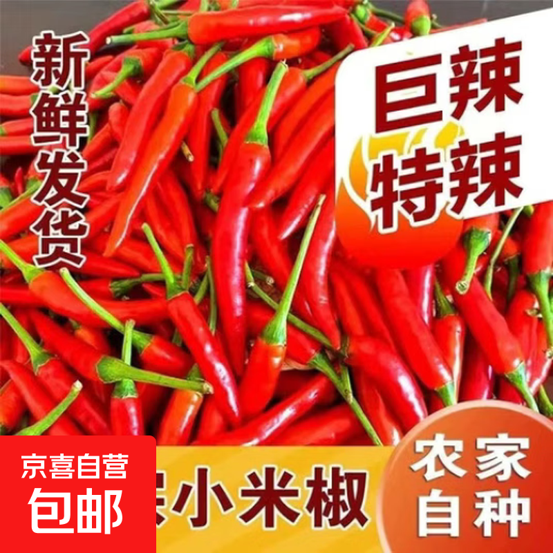 小米辣椒新鲜朝天椒小米泡椒云南鲜椒特辣新鲜魔鬼巨辣红辣椒批发 云南小米辣1斤