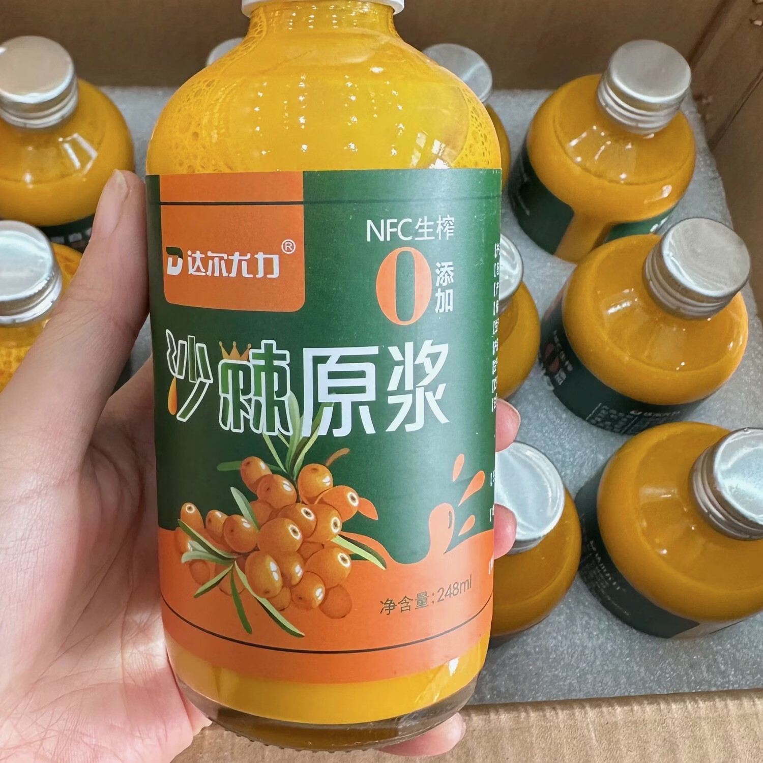 沙棘种植基地