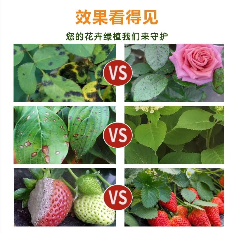 摩登农夫月季玫瑰多肉黑斑灰霉天然食用香辛料提取物制备幼宠安全 500ml