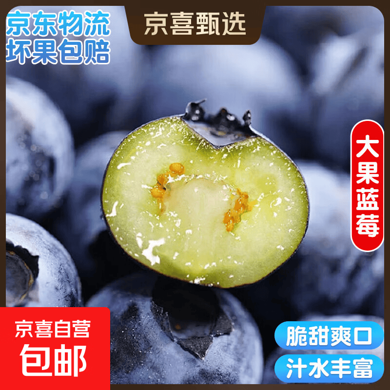 国产云南超大果蓝莓【多地JD快递】新鲜蓝莓 孕妇精选水果 4盒装 多买多划算【70-90g/盒】 中果【单果15mm+】