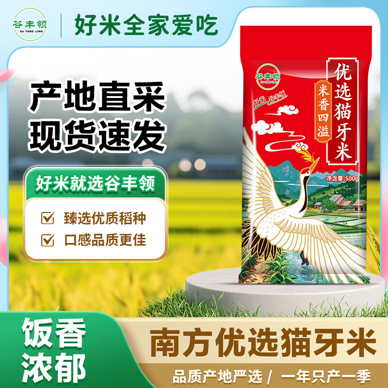 谷丰领猫牙米一级大米优质南方米当季新米正宗丝苗米长粒香大米煲仔饭 正宗猫牙米1斤*1袋