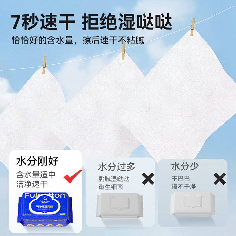 棉柔世家（FulCotton）湿厕纸擦屁屁如厕湿巾儿童成人卫生湿纸巾可搭配抽纸使用 【洋甘菊】 80抽 5包