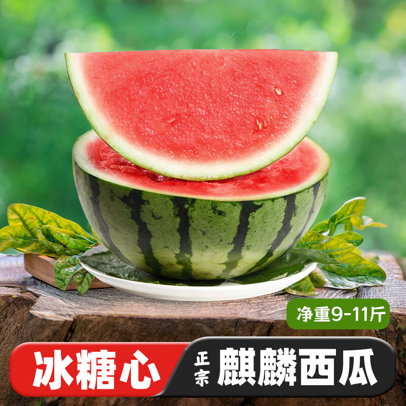 京觅 沙地麒麟少籽甜西瓜 净重9-11斤新鲜水果时令生鲜应当季源头直
