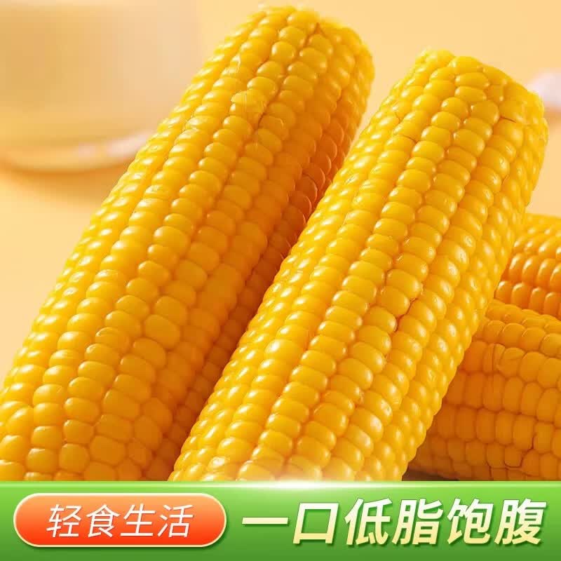 佟创东北黄糯玉米棒 新鲜甜糯玉米棒 代餐轻食真空包装黏粘玉米 糯玉米约12棒 净重5斤【囤货优选】