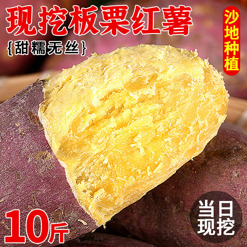 春福乐新鲜现挖超甜板栗红薯沙地红心蜜薯西瓜红番薯农家自种地瓜山芋 5斤严选装【粉糯香甜】净4.5斤