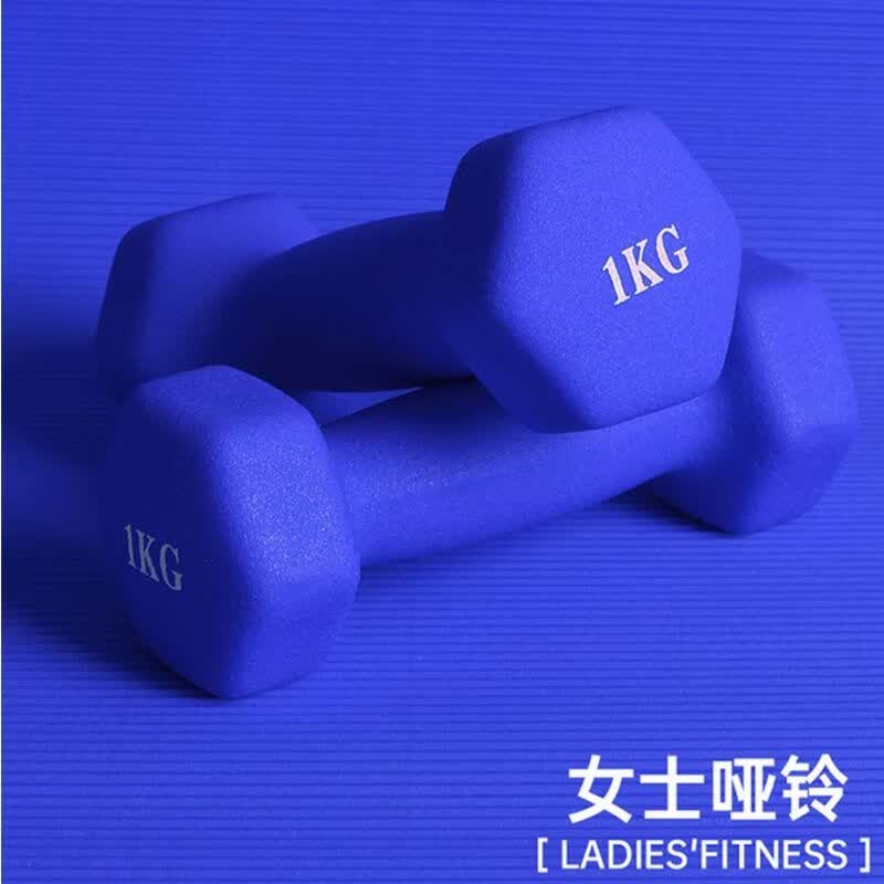 哑铃女士健身家用器材哑铃男士健身家用器材实心家用哑铃2kg一对 紫色 0.5kg仅一只
