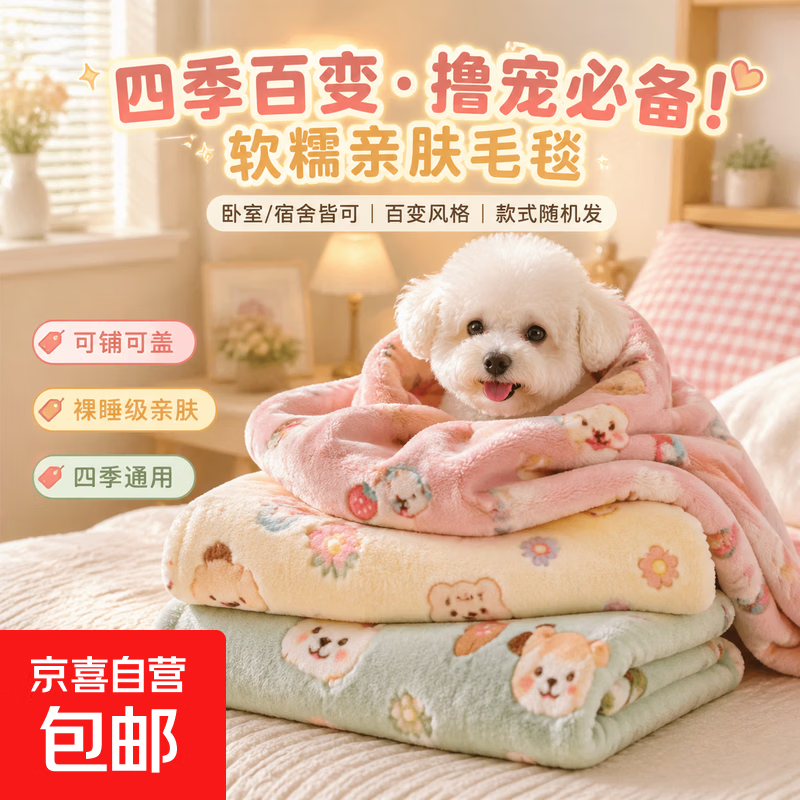 【加厚】冬天保暖双面绒速热加厚宿舍办公室小盖毯宠物毯 花型颜色随机 70cm*50cm 1条装