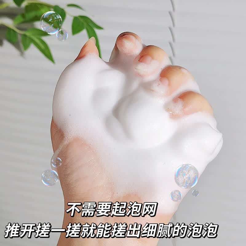【厂家直供】黛倾颜羊胎素赋活氨基酸洁面乳温和清洁保湿洗面奶 羊胎素赋活氨基酸洁面乳120g