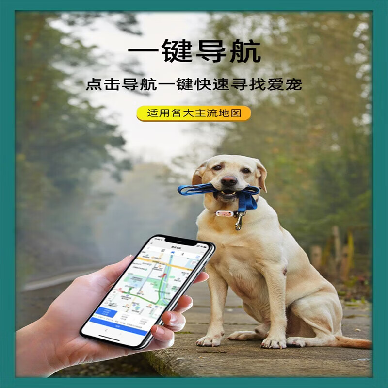 纽曼（Newsmy）定位器狗狗猫咪宠物gps项圈防丢器防走失防水追踪神器定位仪 5G防水定位版+全国定位+扫码寻主+永久免费