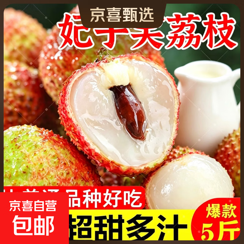 海南新鲜荔枝妃子笑生鲜水果冷链发货 海南妃子笑（带箱5斤）净重4斤单果15g
