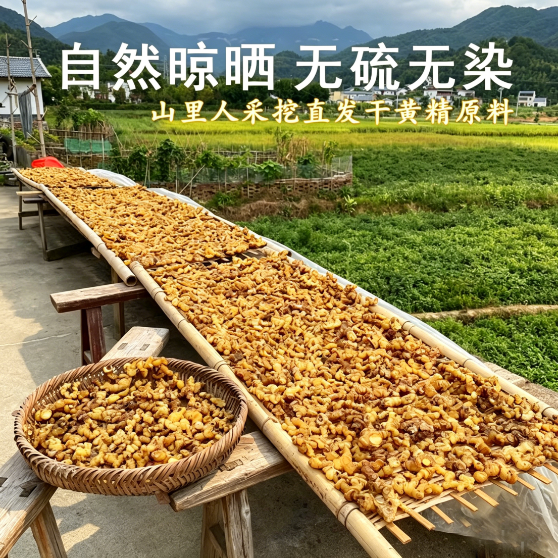 秦岭赶山人野挖黄精原料250g自然晾晒无硫伏牛山直发煲汤泡酒好原料 伏牛山野挖多花黄精 100g*1袋