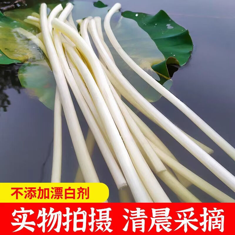 洪湖农家洪湖藕带 生鲜蔬菜 藕管 火锅食材 湖北特产 买菜 新鲜水生蔬菜 新鲜藕带3斤(藕管)