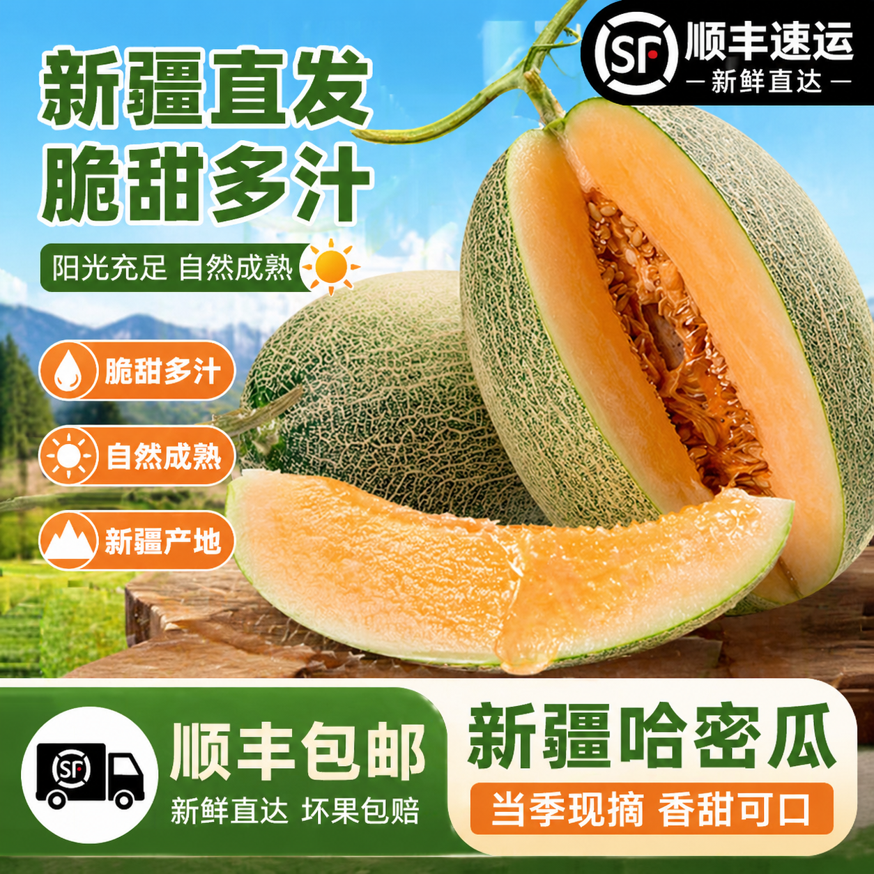 【顺丰快递】正宗新疆哈密瓜甜瓜西州蜜25号网纹瓜整箱新疆直发 【尝鲜装】5-6斤  2枚