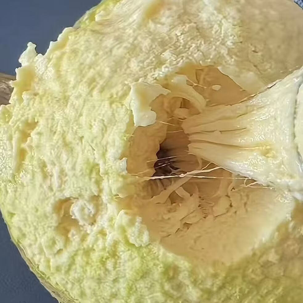 面包果  水果 2-2.5斤现摘现发 京东折扣/优惠券