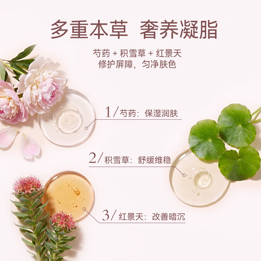 道化心闲本草靓肤面霜补水保湿滋养肌肤均匀肤色贵妇专用 本草靓肤面霜50g+本草护手霜30g(雪松风竹)
