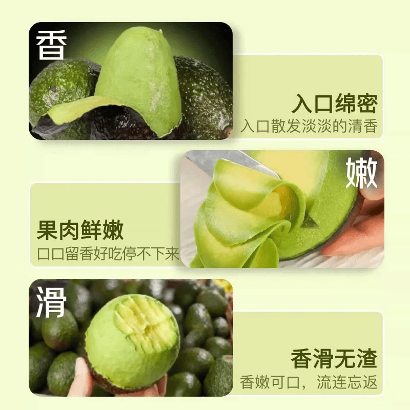 御红橙绿秘鲁进口哈斯牛油果幼儿辅食宝宝代餐新鲜水果鳄梨整箱批发价包邮 【单果净重50-70g】9个装 宝宝果