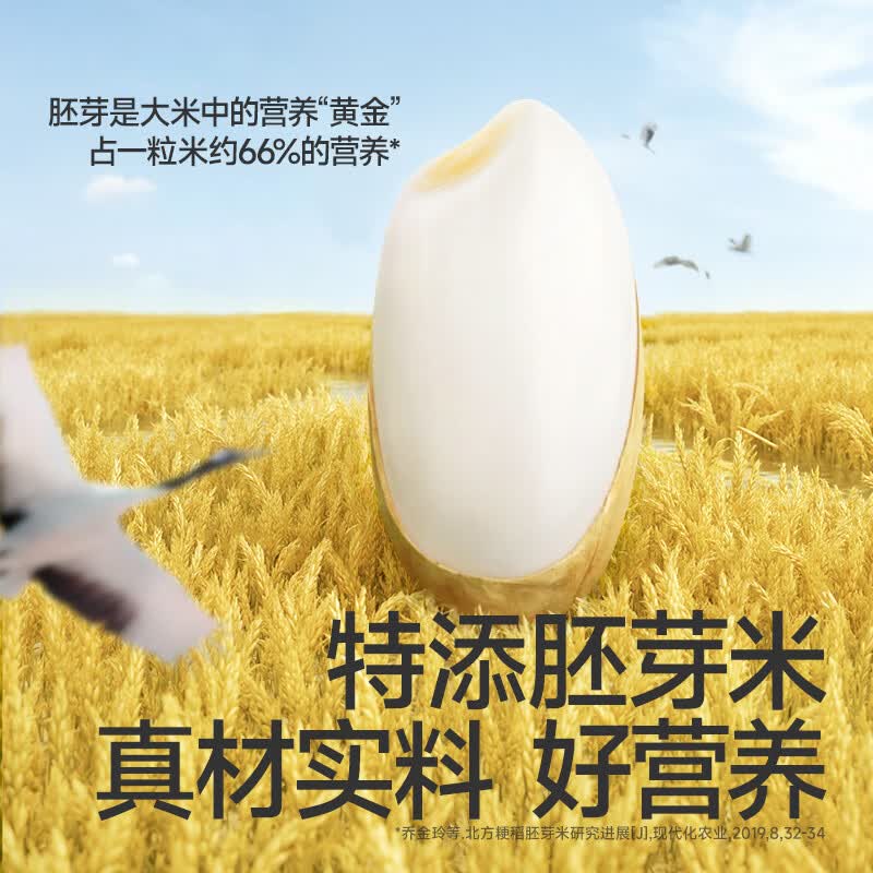 秋田满满零食海苔胚芽米饼入口溶肉松磨牙饼干儿童零食磨牙棒【减钠65%】 肉松胚芽米饼36克3袋+海苔3袋