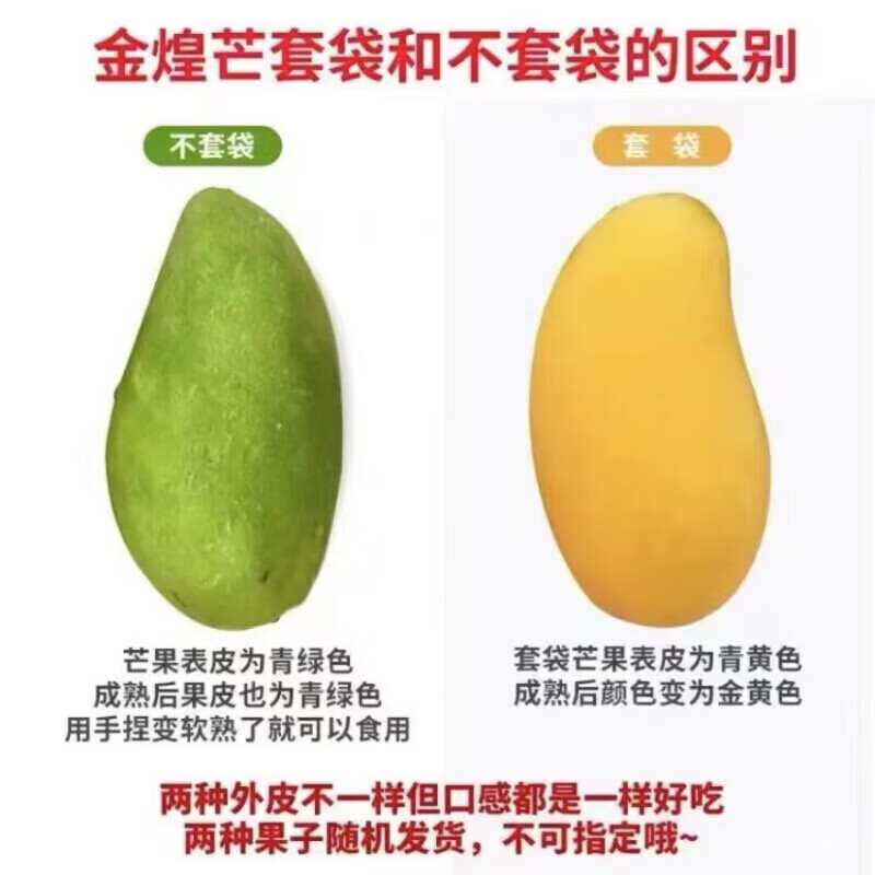 田良季金煌芒源头直发海南芒新鲜芒果广西纸核果大青新生鲜水果送礼品物 甄选特级果【单果400g+】 9斤装【蕞划算】净重8斤