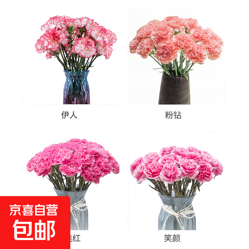 【渠道专享3】康乃馨鲜花云南基地直发水养母亲节520花束礼物 粉色康乃馨10枝
