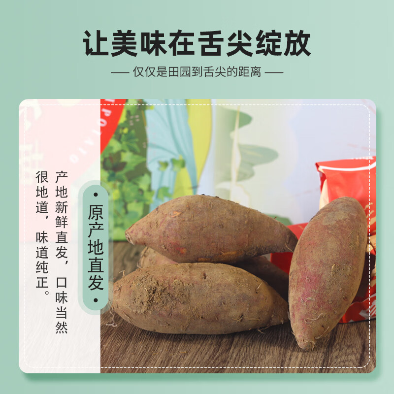 湛江现挖海山香薯新鲜蜜薯低脂粗粮代餐黄心香甜番薯软糯烤地瓜 【粉糯香甜】正宗湛江榴莲蜜薯5斤装