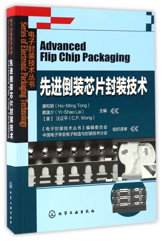 先进倒装芯片封装技术/电子封装技术丛书