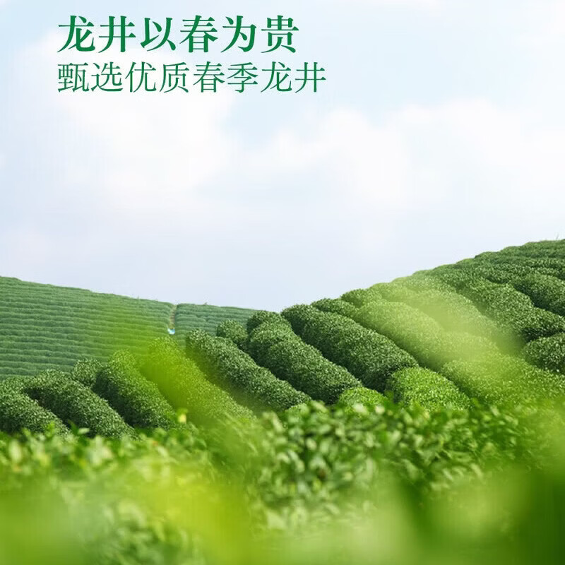 东方树叶冷萃龙井茶335mL冷泡工艺0糖0脂0卡清爽回甘解腻佐餐饮料 (冷链发货) 冷萃龙井茶335mL*8(整箱)