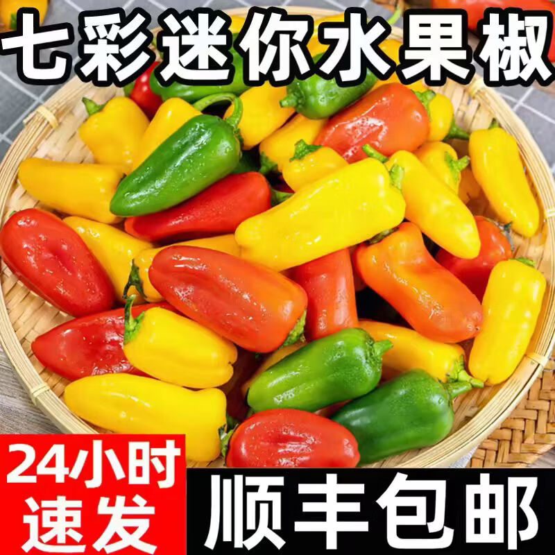 农大姐妹水果彩椒 山东五彩甜椒  七彩生吃彩椒 当季沙拉蔬菜新鲜甜椒凉拌 顺丰冷链上门4斤