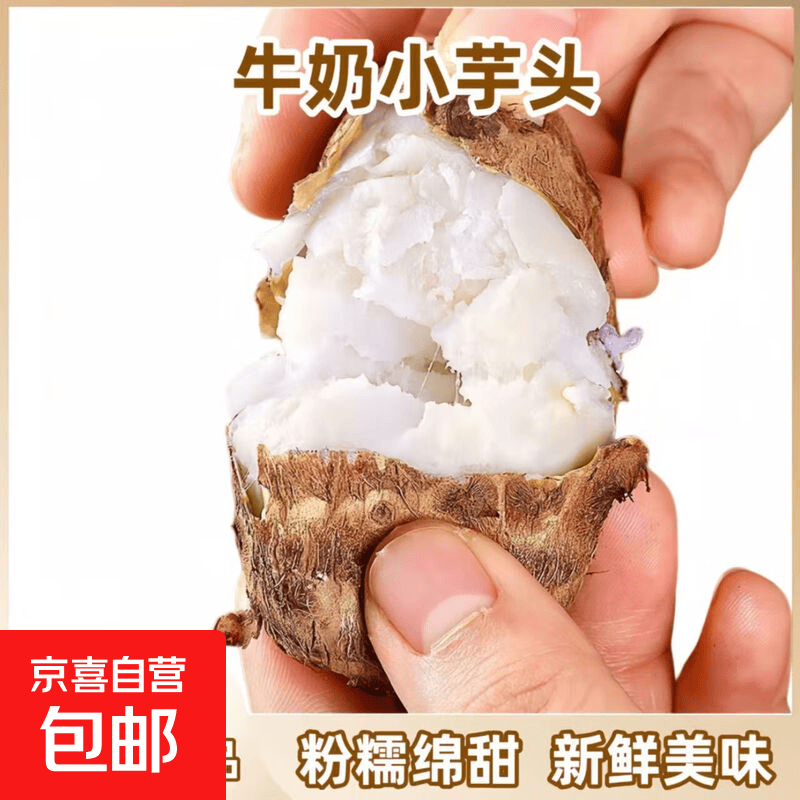 【热卖精选】山东毛芋头正宗牛奶小竽头整箱香糯蔬菜香芋芋仔奶香 9斤 山东牛奶小芋头带箱