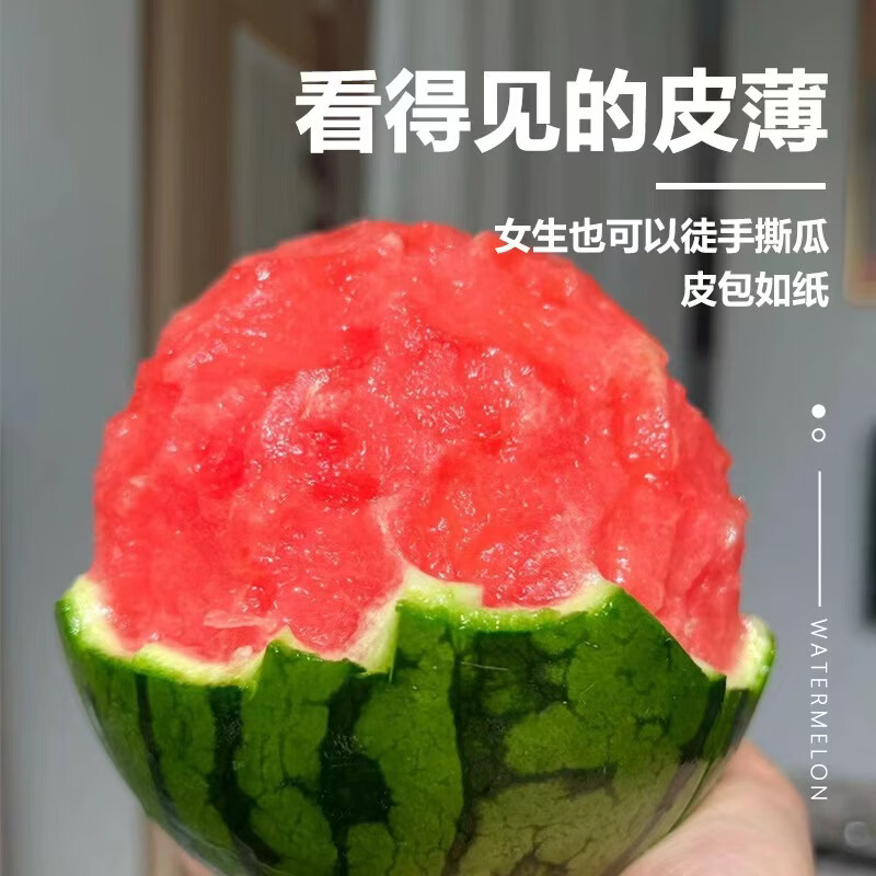 薏品甄鲜正宗山东藤吊2K冰糖小西瓜 小糖丸西瓜新鲜水果 京东快递送礼优选 净重4.5-5斤【2-3枚】