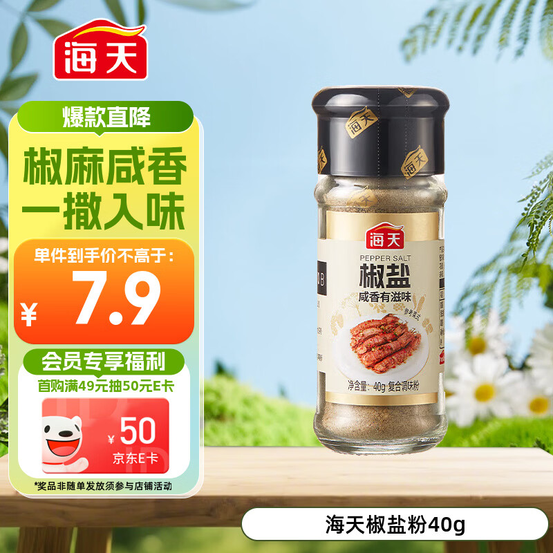 海天 椒盐粉 40g 烧烤煎炸 基围虾皮皮虾烧烤撒料蘸料