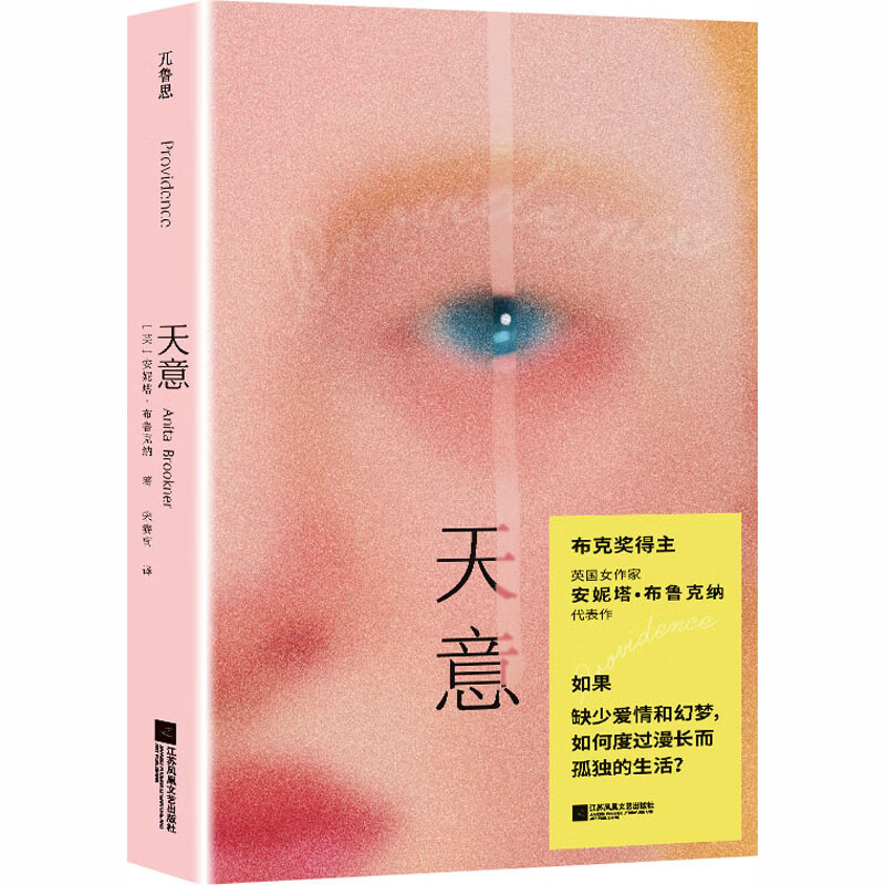 天意刷边特装版 江苏凤凰文艺出版社 英安妮塔·布鲁克纳Anita Brookner 著 著 宋赛南 译 译 精装 书籍 图书