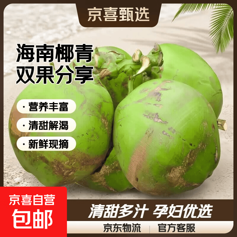 海南文昌带皮椰青生鲜椰汁应季孕妇水果椰子水椰肉单果净重3斤起 【2个装】海南带皮椰青（分享装）