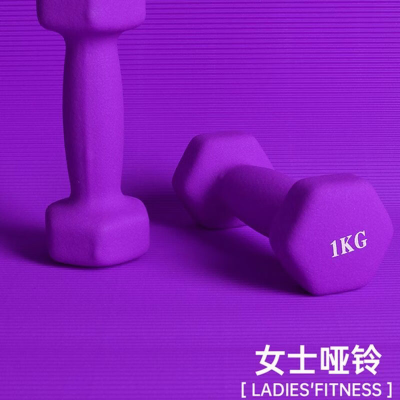 哑铃女士健身家用器材哑铃男士健身家用器材实心家用哑铃2kg一对 紫色 0.5kg仅一只