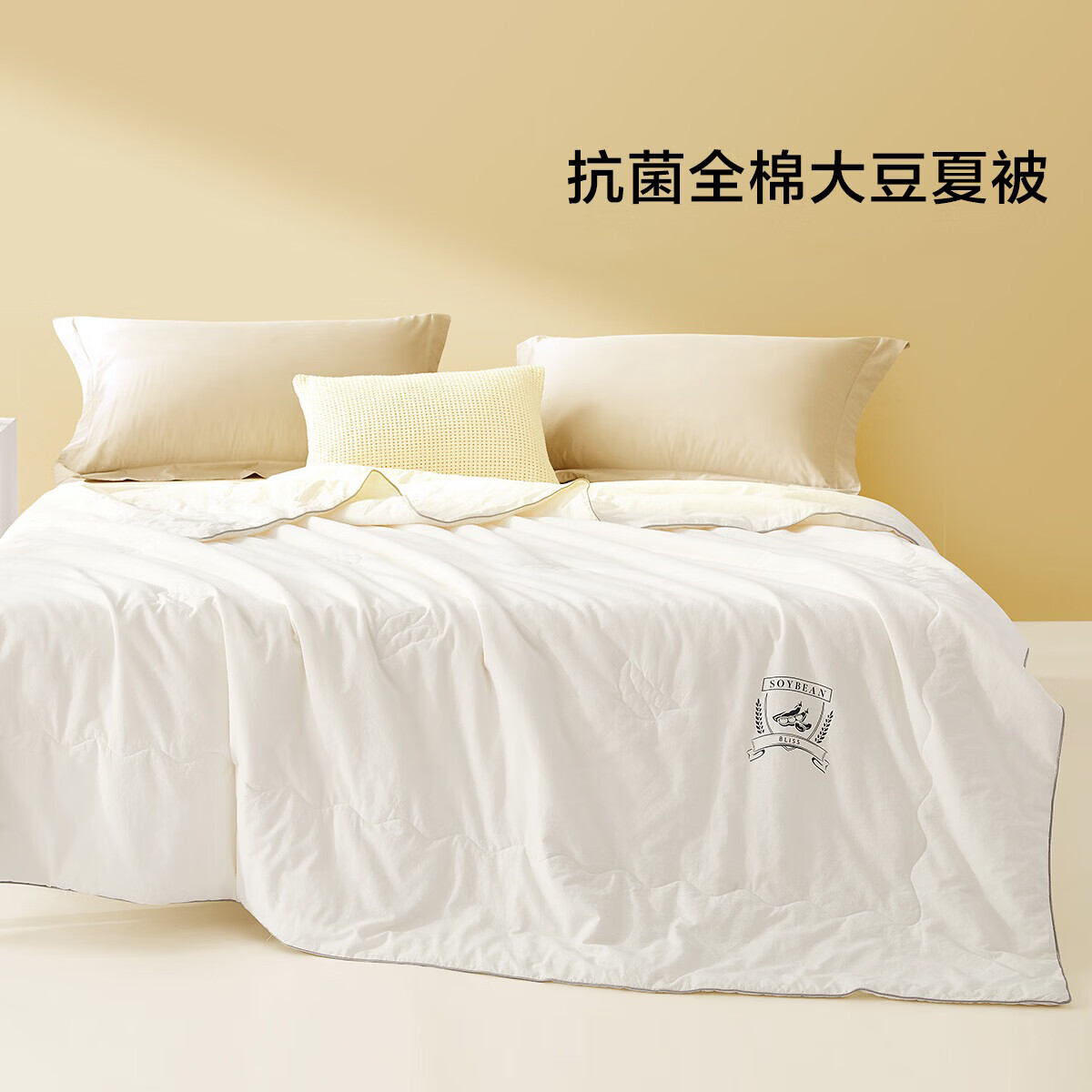 水星家纺集团出品  百丽丝大豆纤维夏凉被 抗菌空调被子 可水洗薄被芯 [升级全棉面料+大豆抗菌] 艾丽雅 200cm*230cm