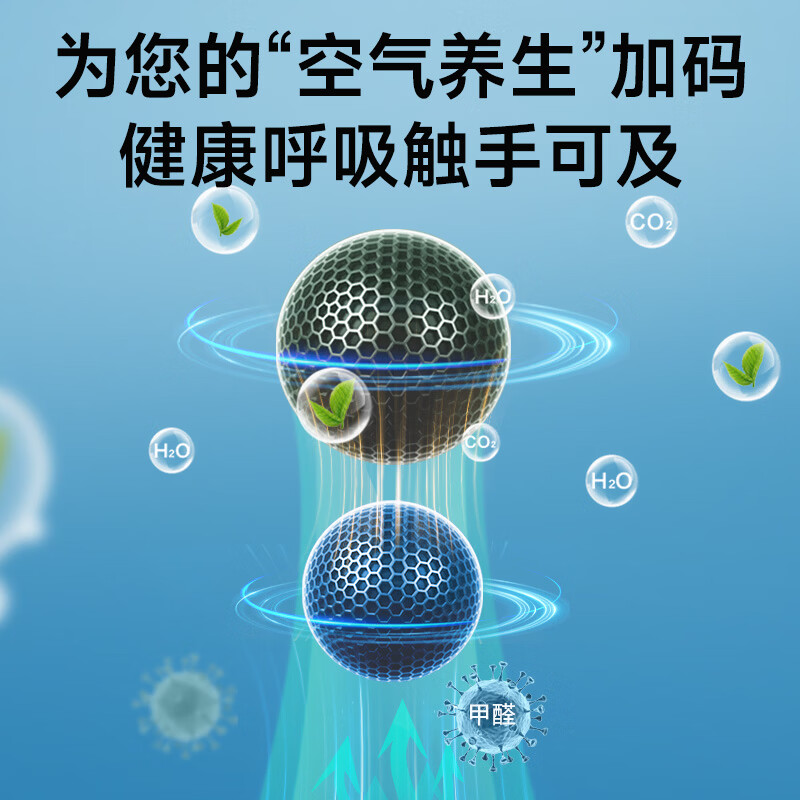 绿之源活性炭除甲醛去甲醛炭包新房装修汽车除味分解吸附包新车净化除臭 双核净化可视变色炭1kg