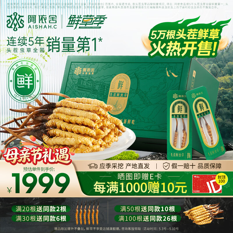 阿依舍新鲜冬虫夏草0.5-0.6g/根50根头茬鲜草【源头直发】母亲节礼物
