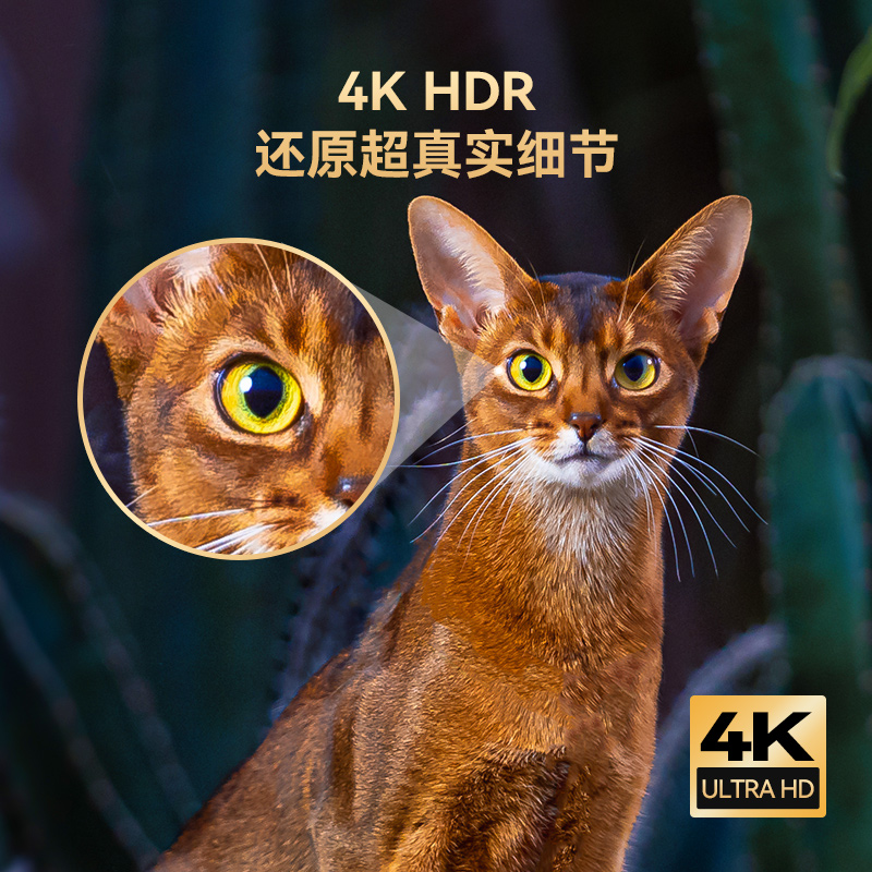 酷开 创维出品 P31 55英寸 4K超高清 超薄全面屏  护眼 2+8G 智能平板 游戏液晶 电视机  以旧换新 55P31